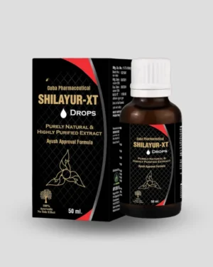 Shilayur XT