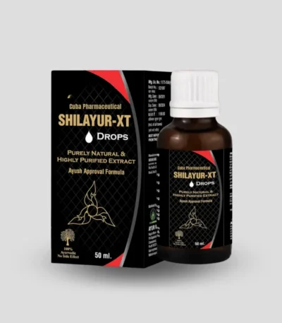 Shilayur XT