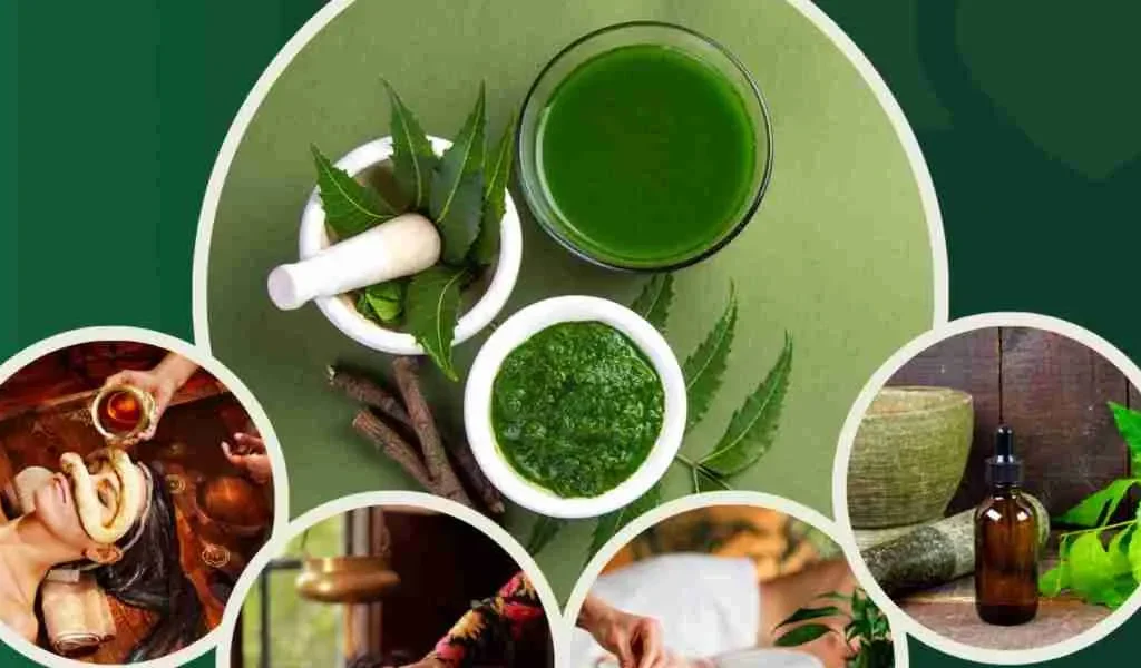 Ayurvedic Wellness Herbs for Sexual Health